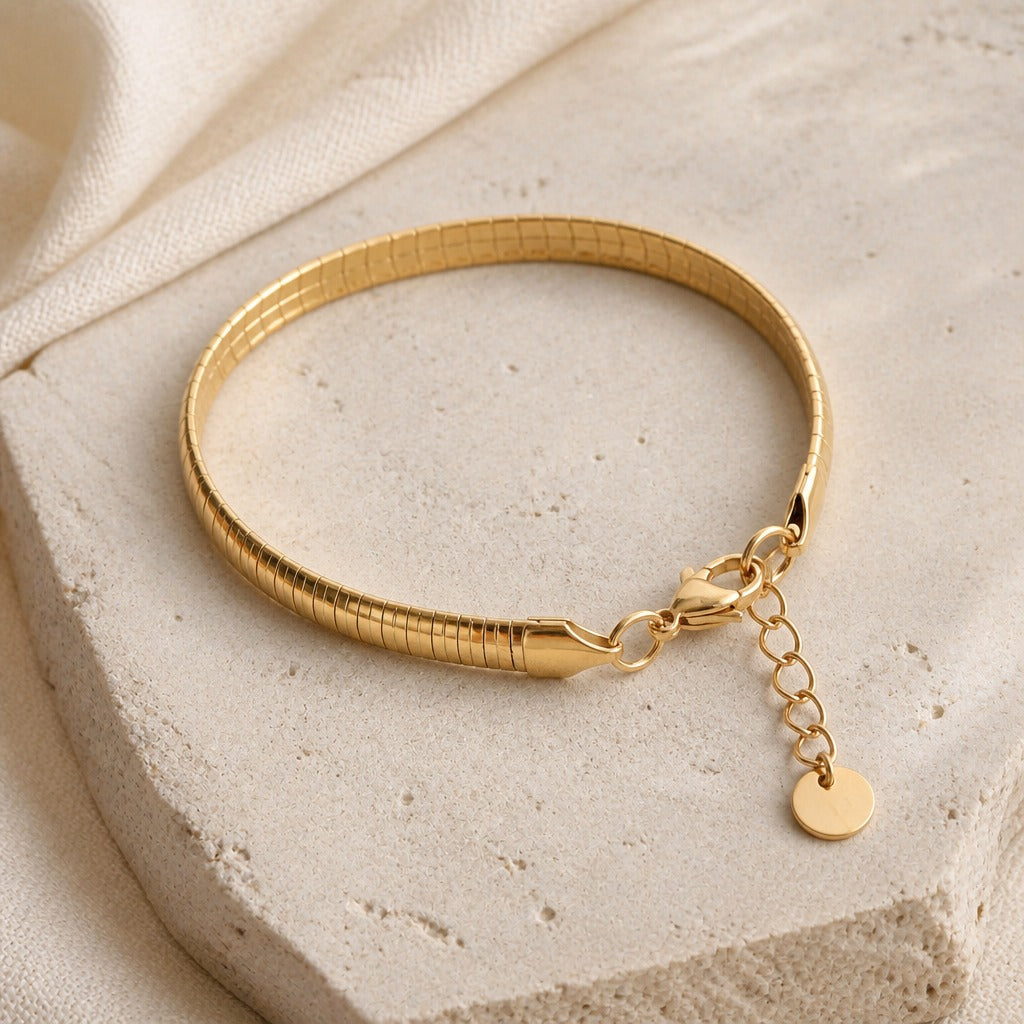 Disc Charm Snake Chain Bracelet in Gold Tone with Adjustable Clasp — main image